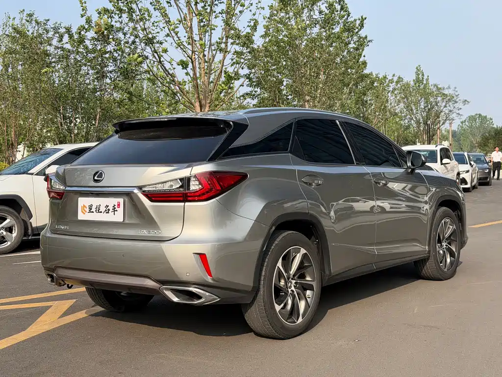 Lexus RX — фото 5