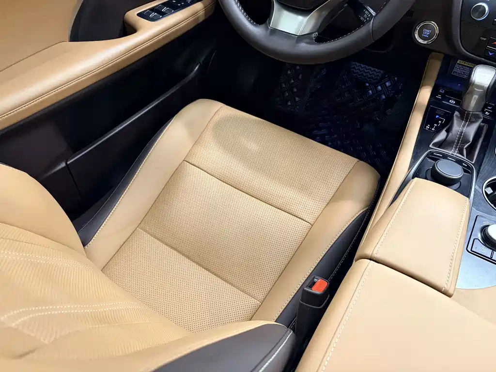 Lexus RX — фото 13