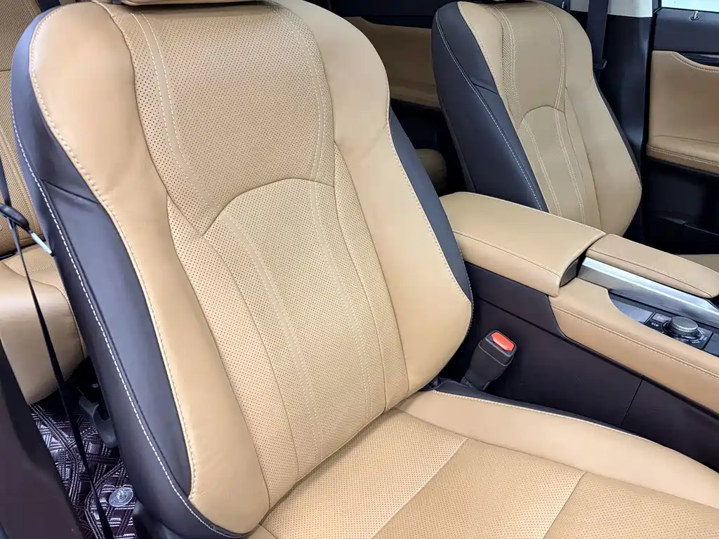 Lexus RX — фото 17