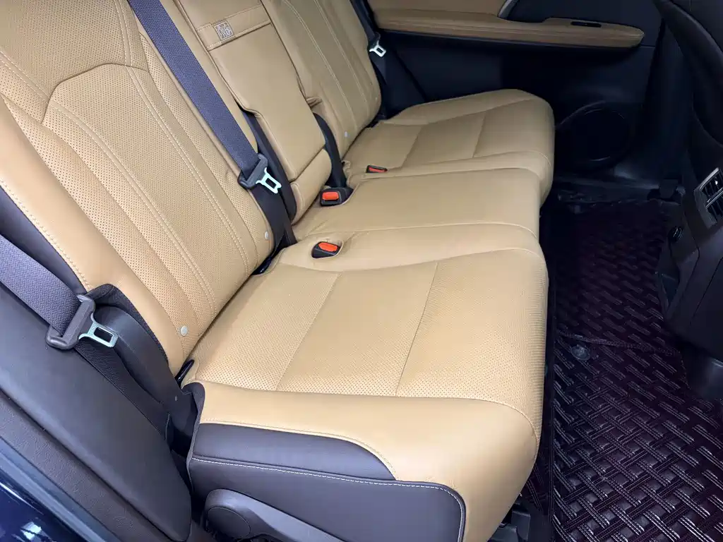 Lexus RX — фото 19