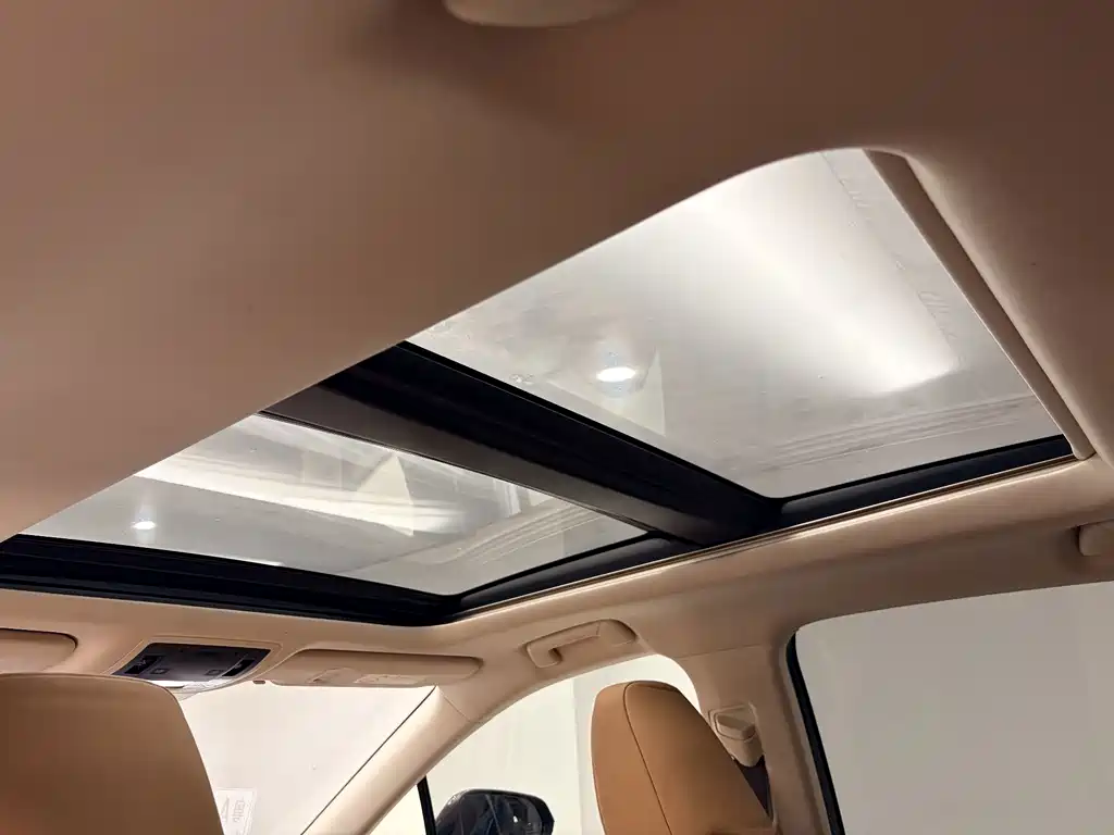 Lexus RX — фото 27