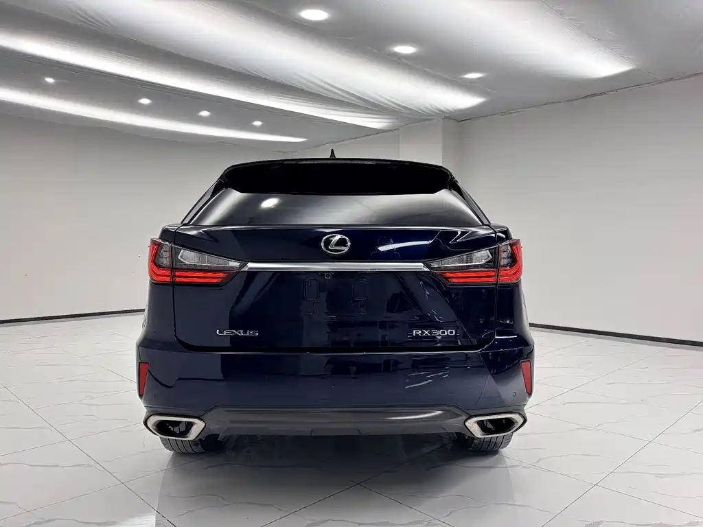 Lexus RX — фото 5