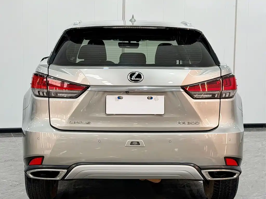 Lexus RX — фото 5