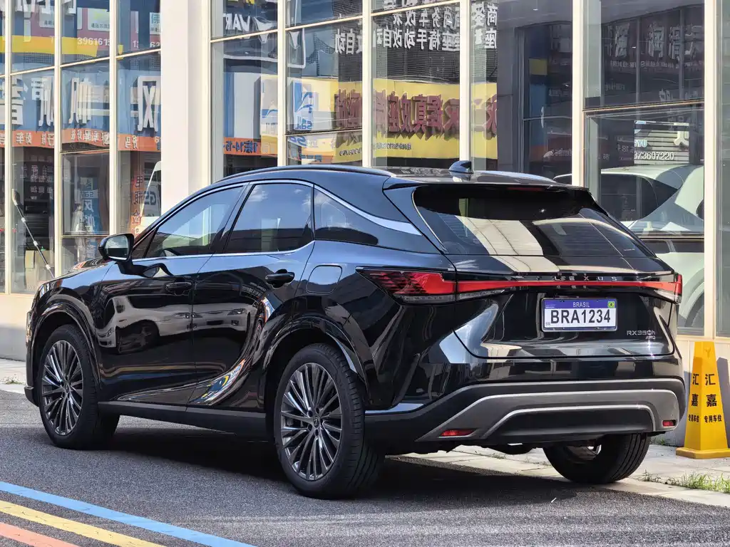Lexus RX — фото 13