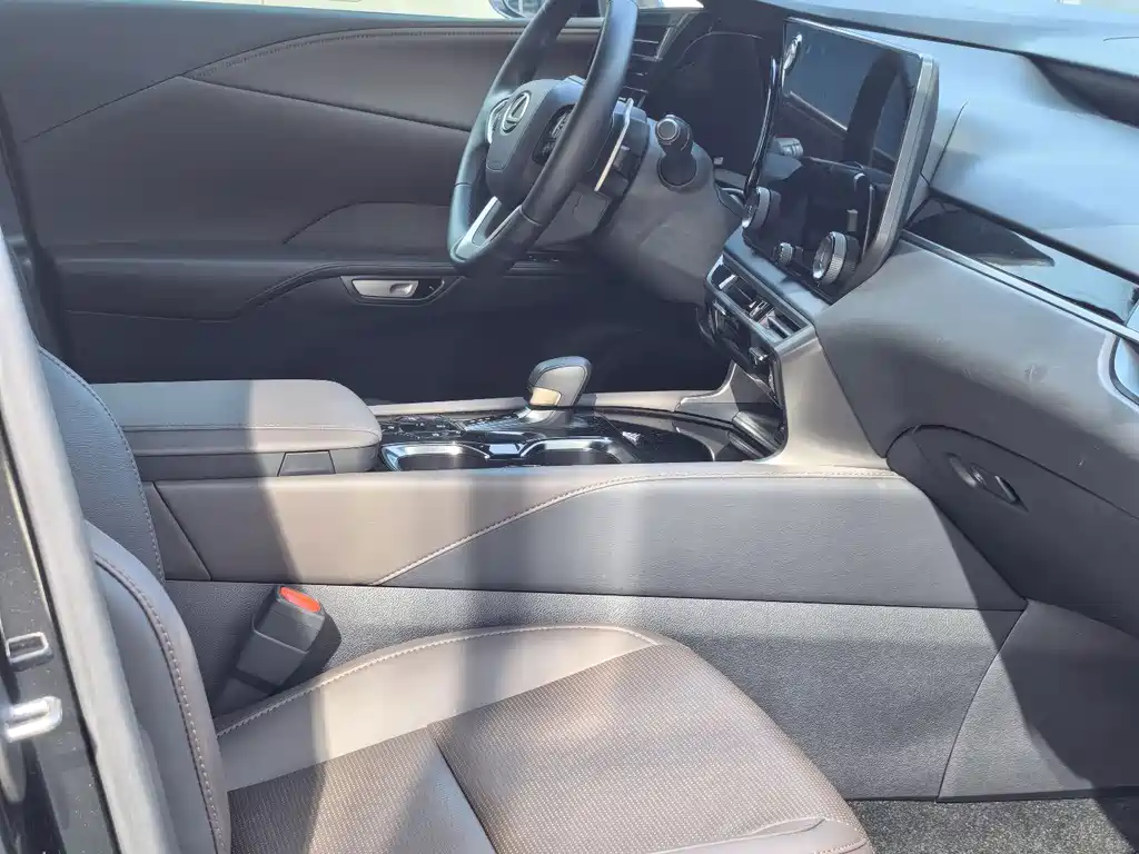 Lexus RX — фото 10