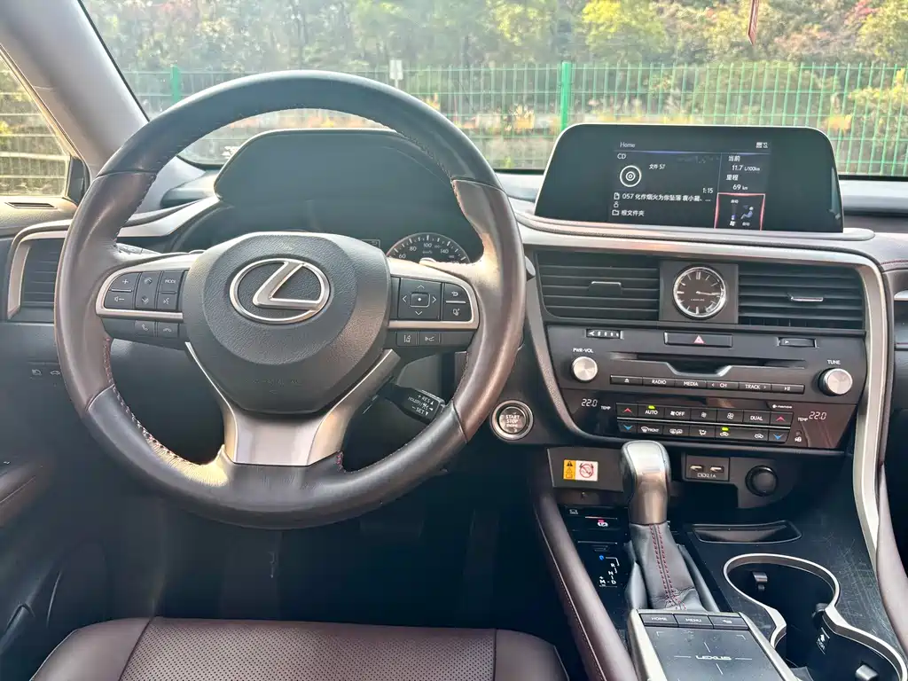 Lexus RX — фото 11