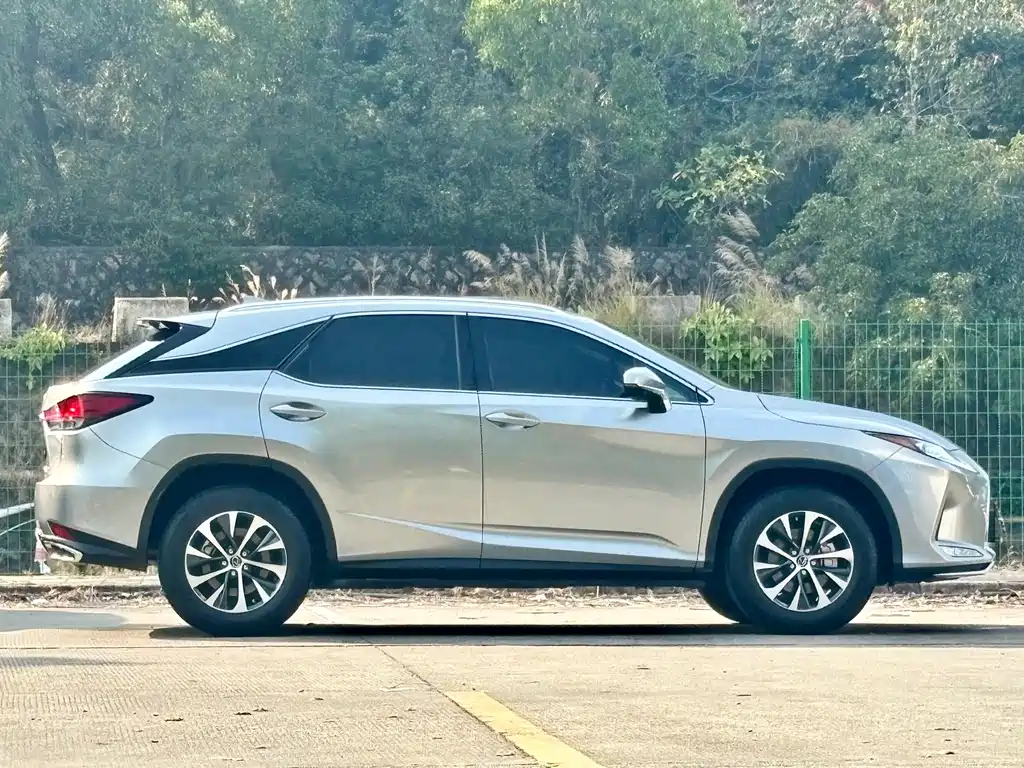 Lexus RX — фото 16
