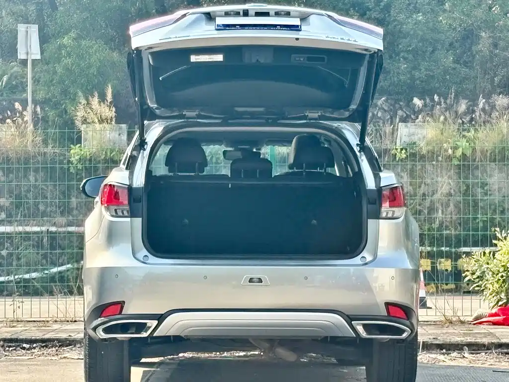 Lexus RX — фото 17