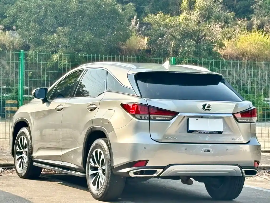 Lexus RX — фото 18