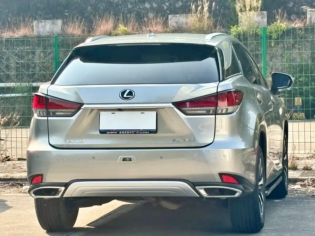 Lexus RX — фото 19