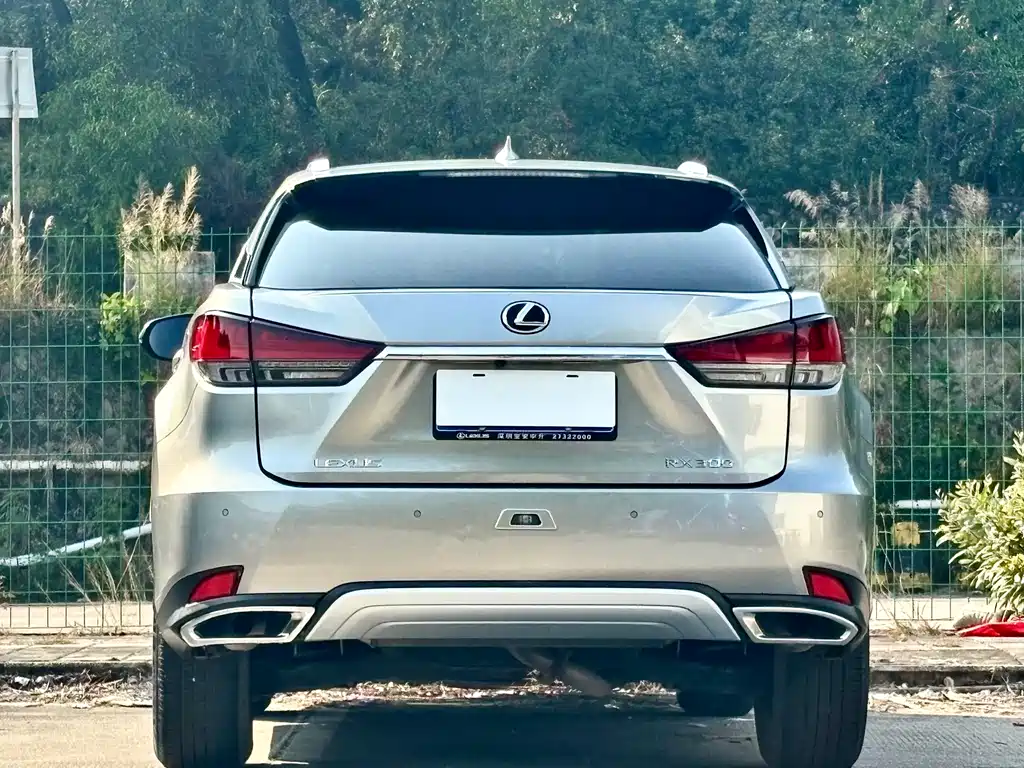 Lexus RX — фото 20