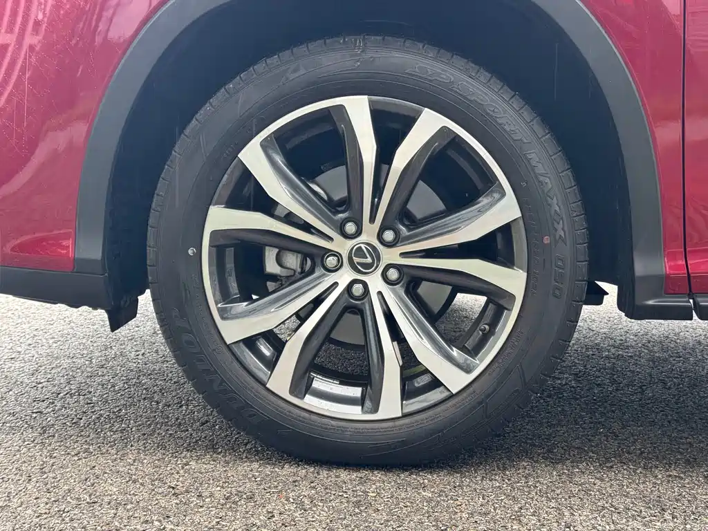 Lexus RX — фото 11