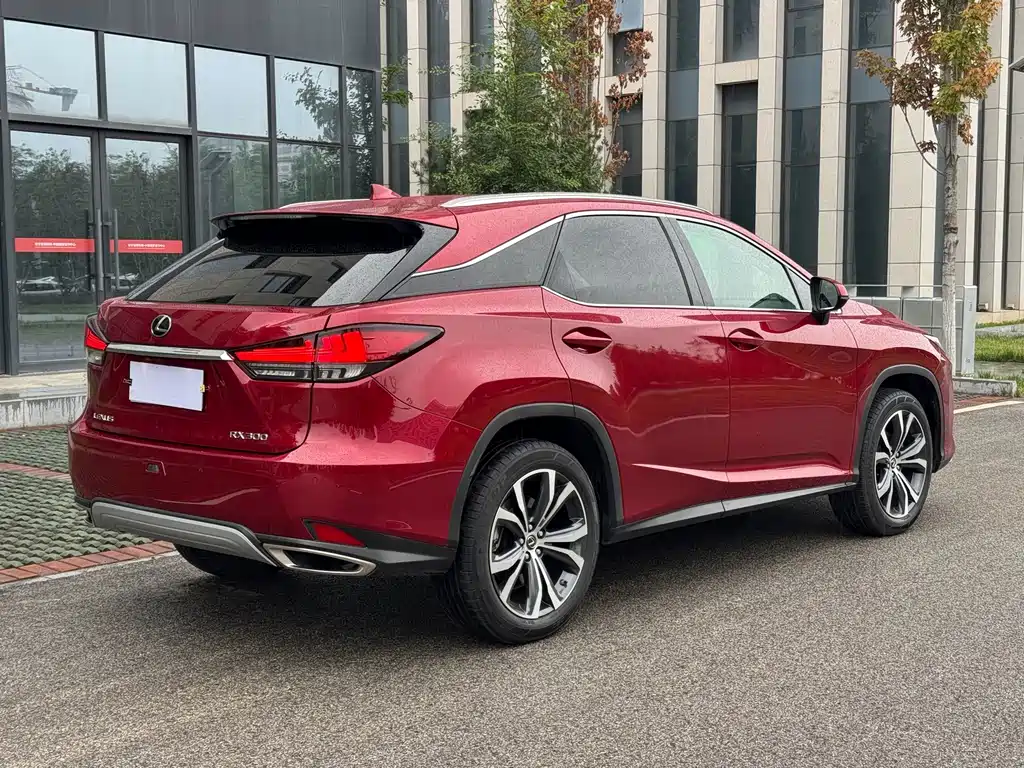 Lexus RX — фото 6