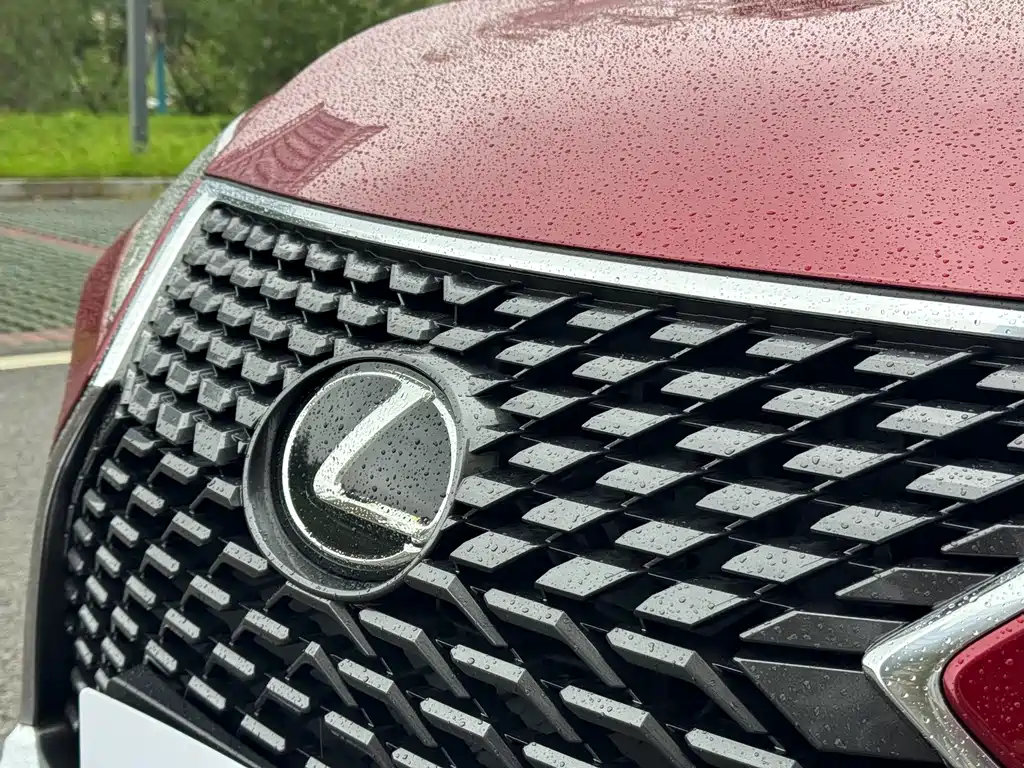 Lexus RX — фото 9