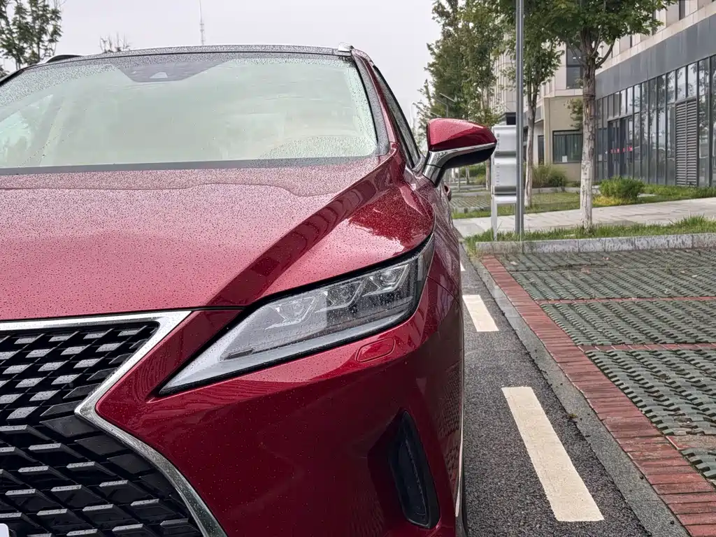 Lexus RX — фото 10