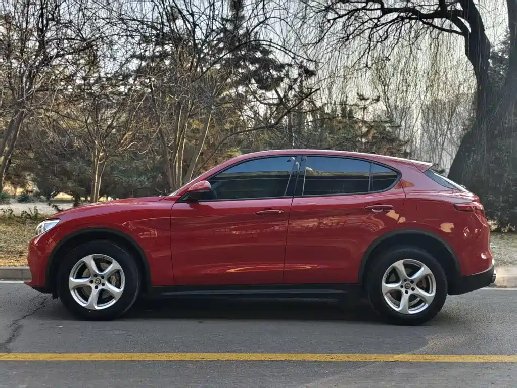 Alfa Romeo Stelvio — фото 2