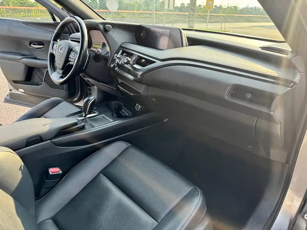 Lexus UX New Energy — фото 17