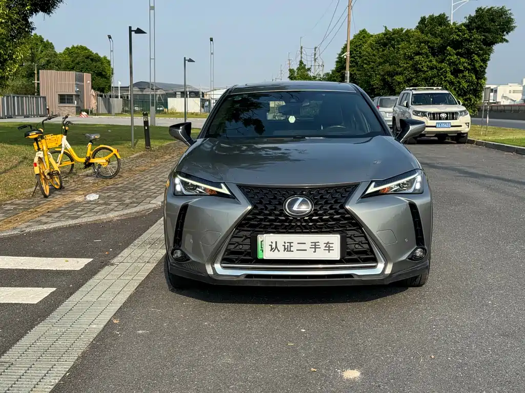 Lexus UX New Energy — фото 3