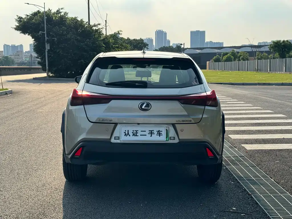 Lexus UX New Energy — фото 5