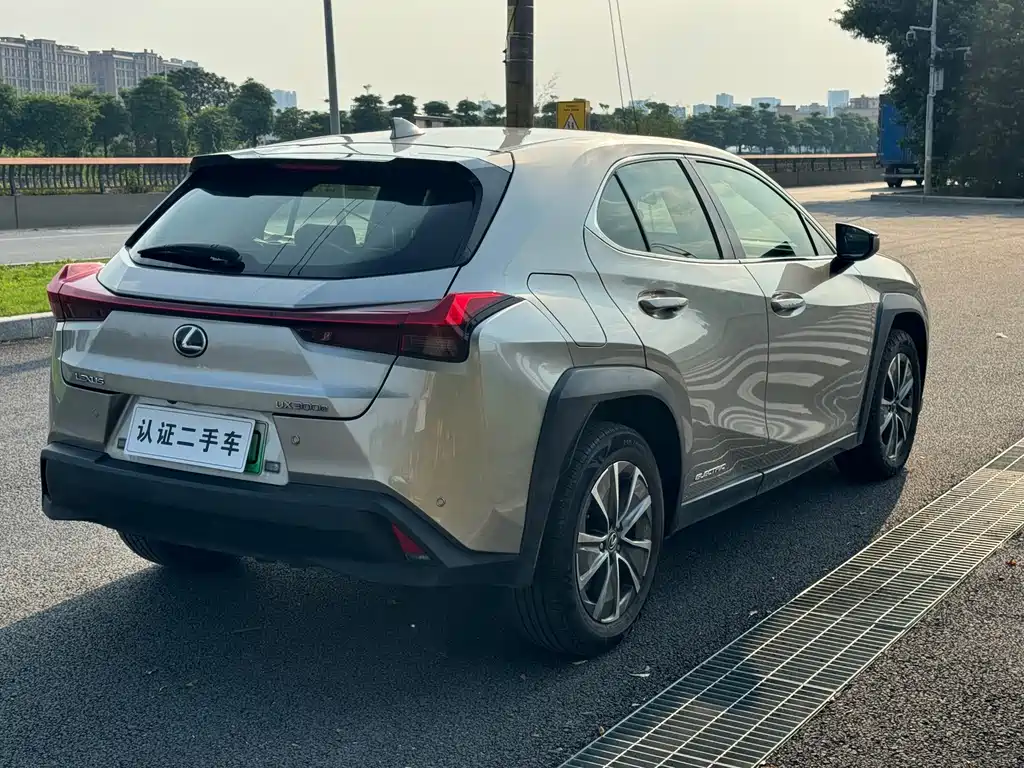 Lexus UX New Energy — фото 6