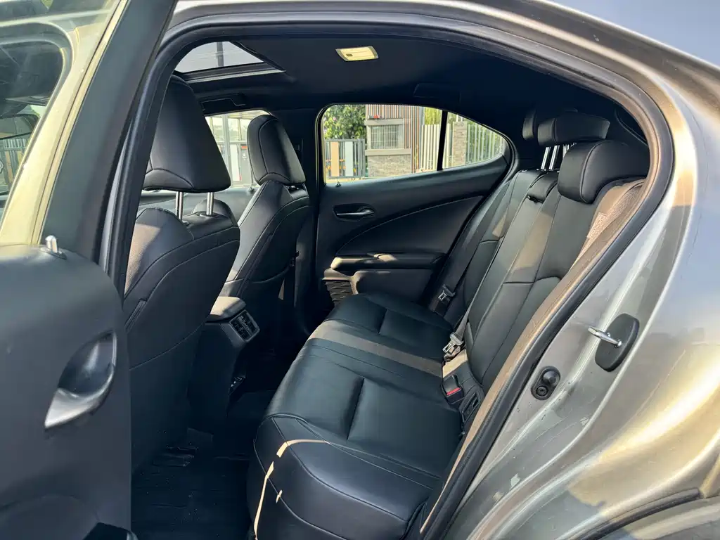Lexus UX New Energy — фото 8