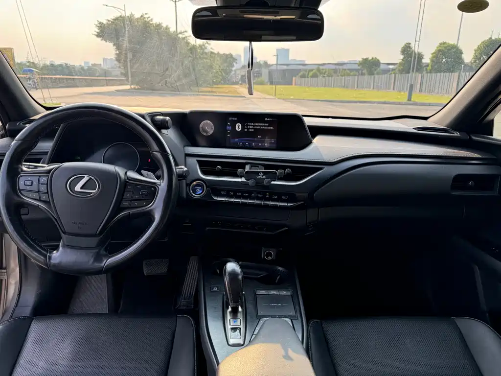Lexus UX New Energy — фото 9