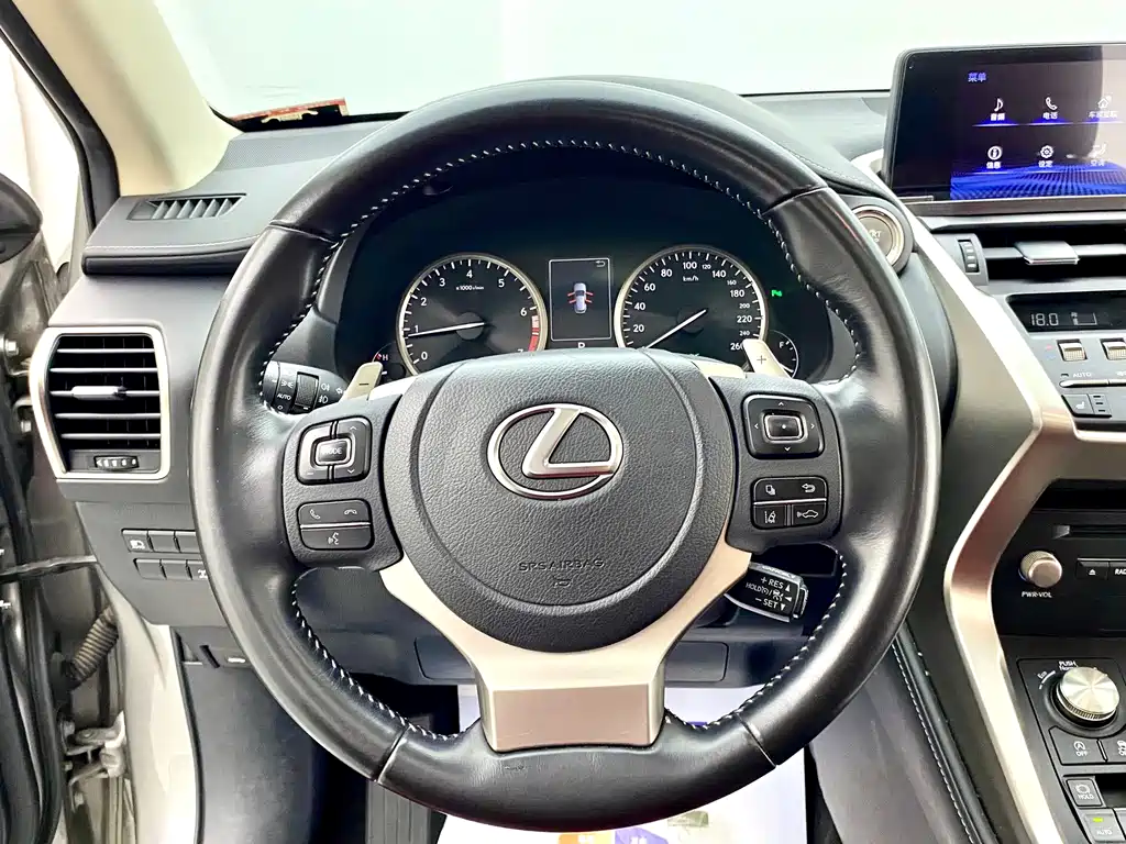 Lexus NX — фото 23