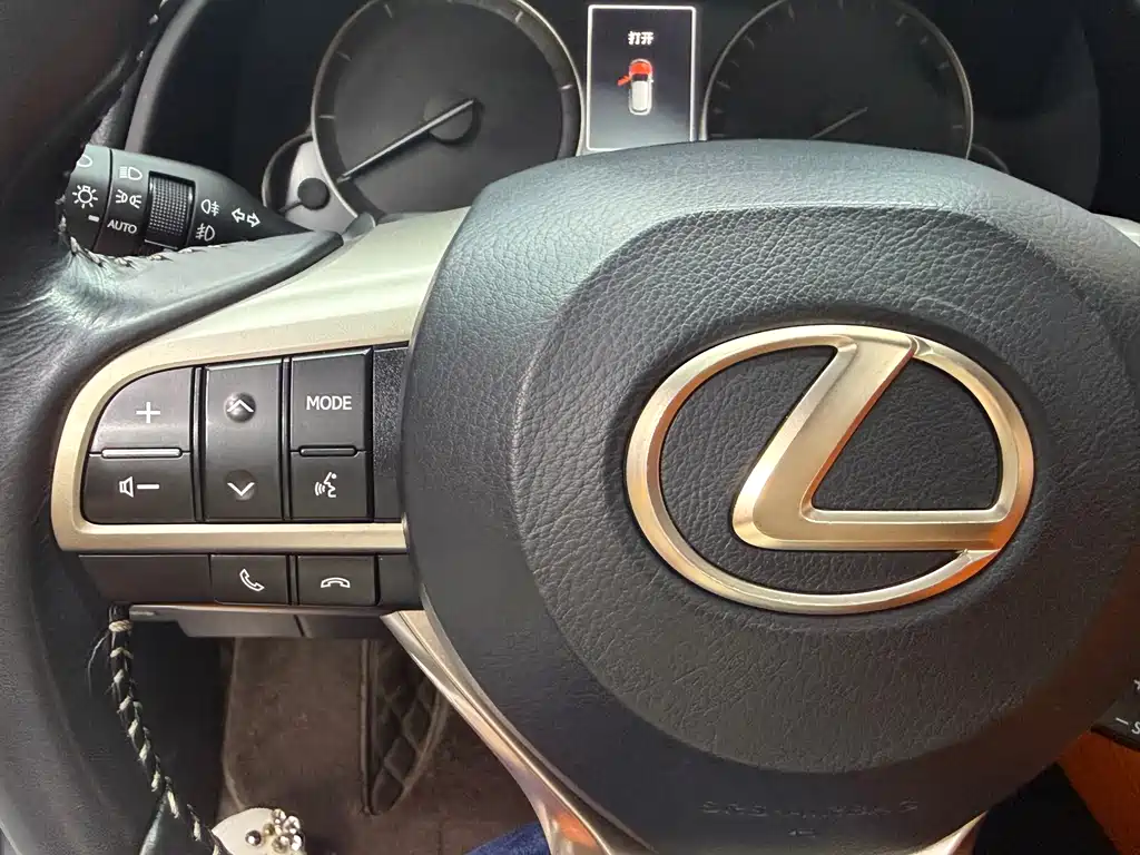 Lexus RX — фото 20