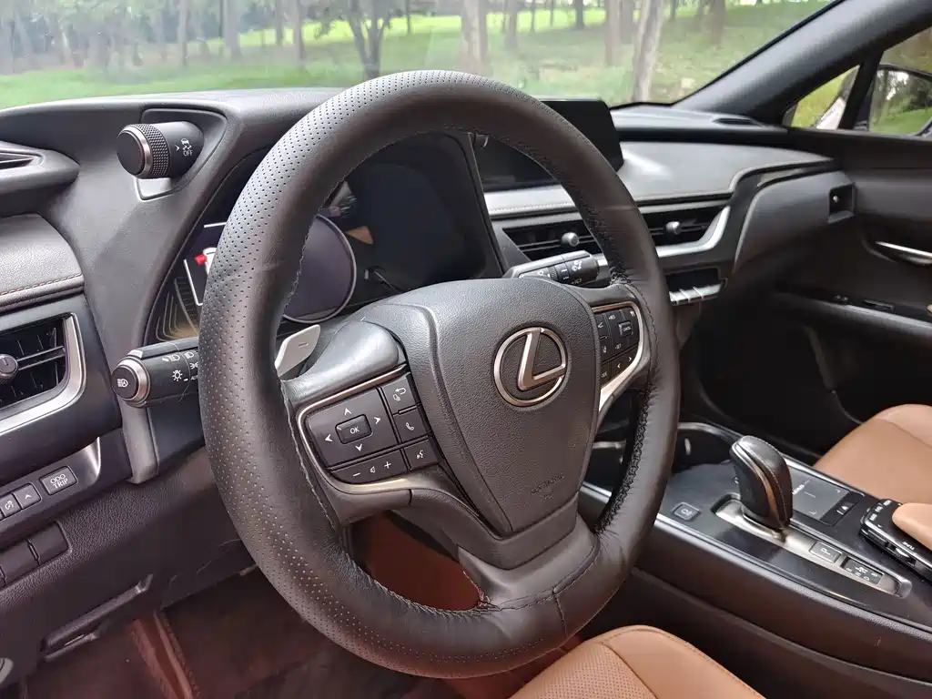 Lexus UX New Energy — фото 11