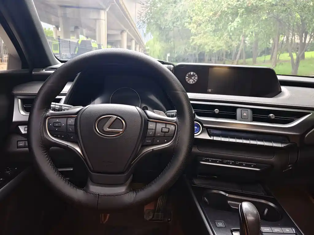 Lexus UX New Energy — фото 16