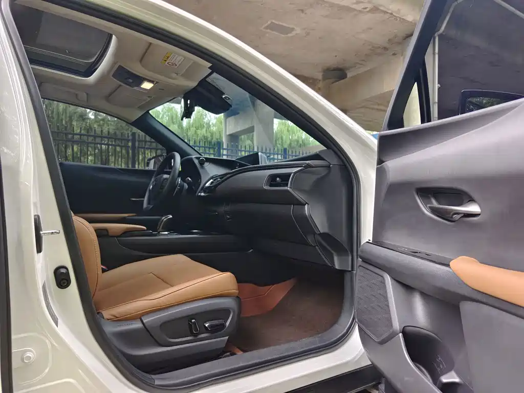 Lexus UX New Energy — фото 21