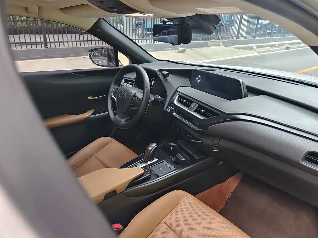 Lexus UX New Energy — фото 23