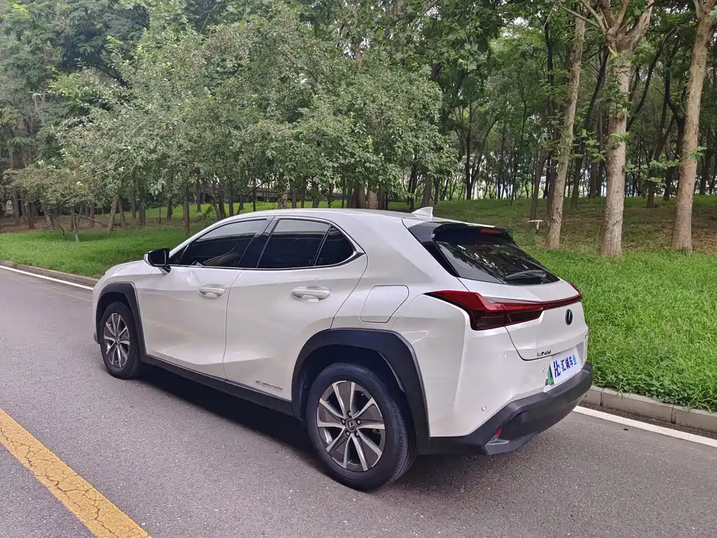 Lexus UX New Energy — фото 4
