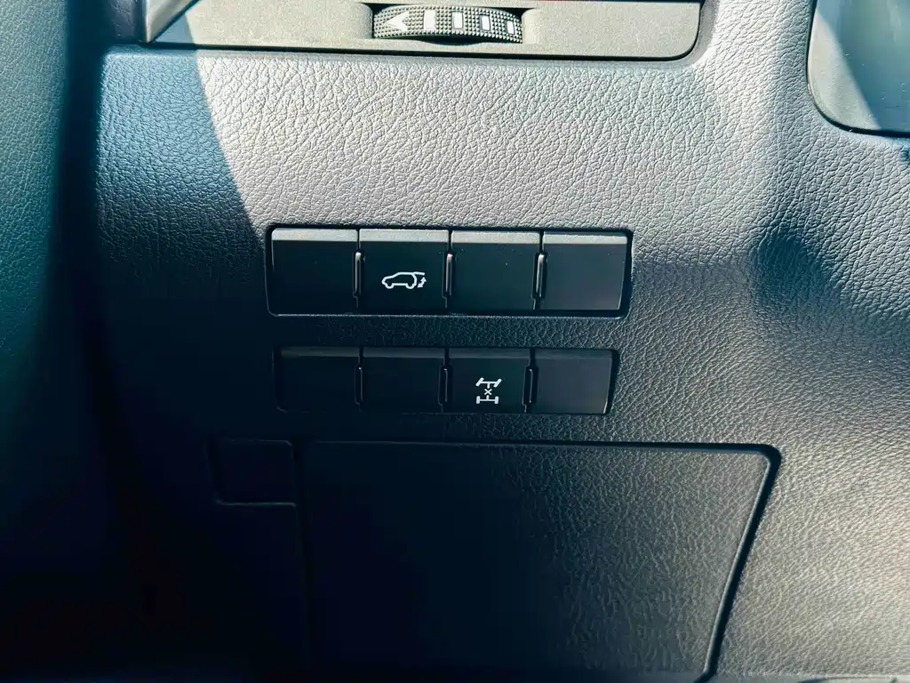 Lexus RX — фото 14