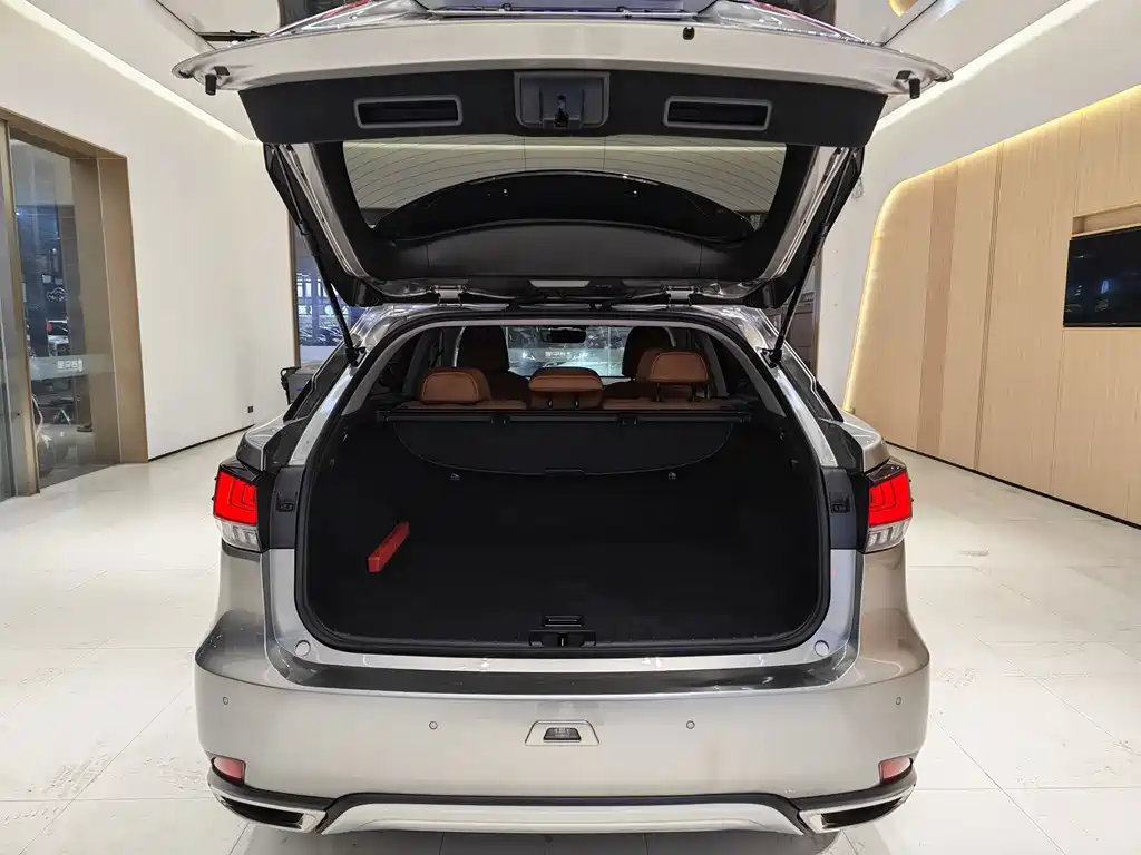 Lexus RX — фото 14
