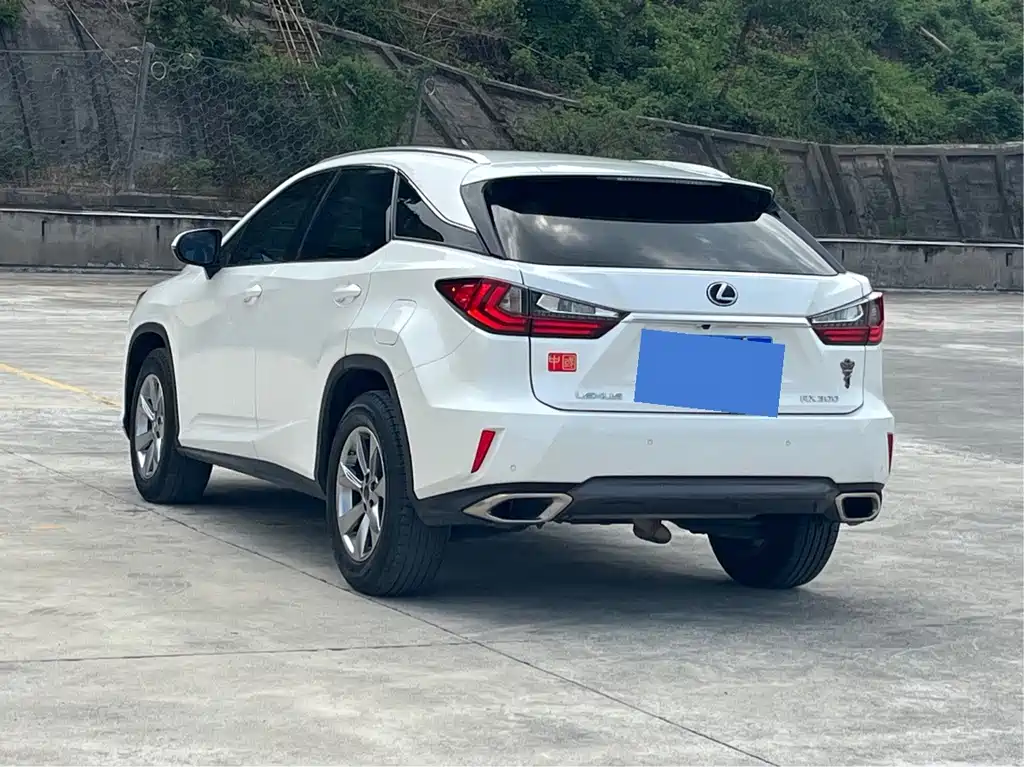 Lexus RX — фото 5