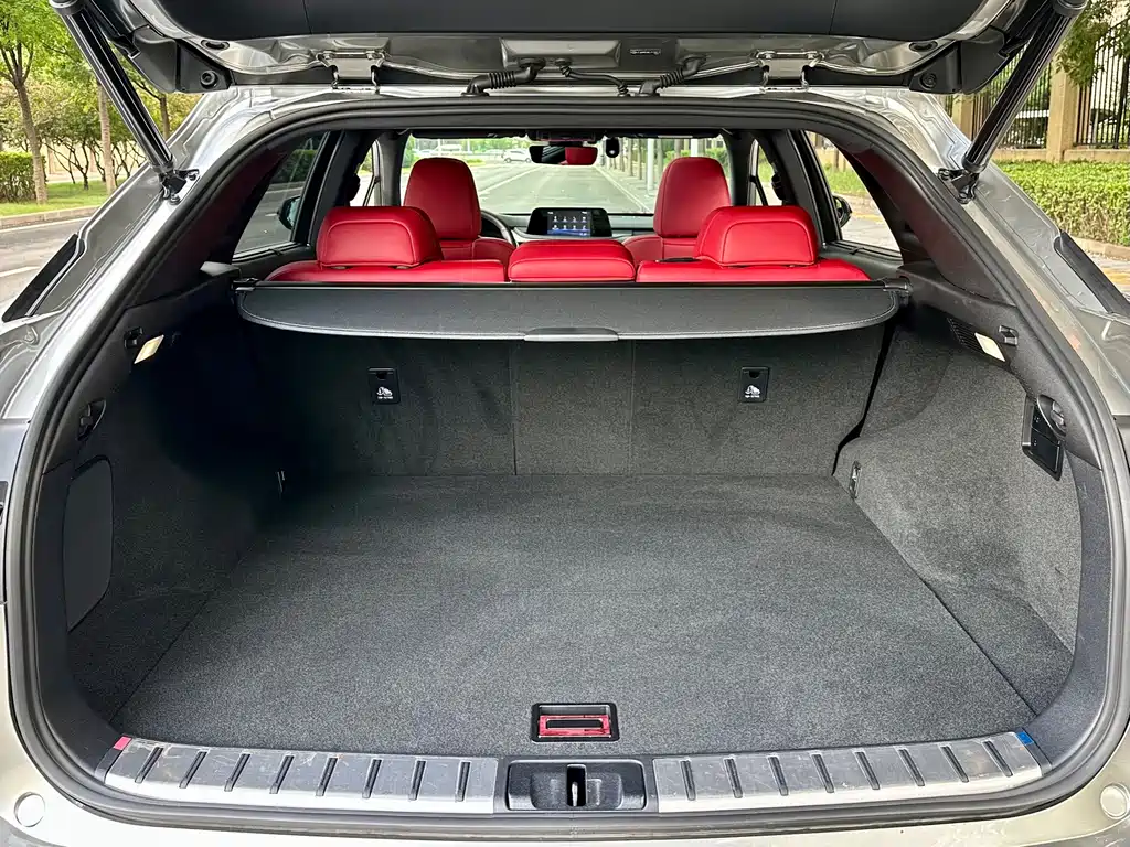 Lexus RX — фото 14