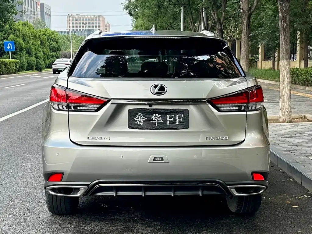 Lexus RX — фото 4