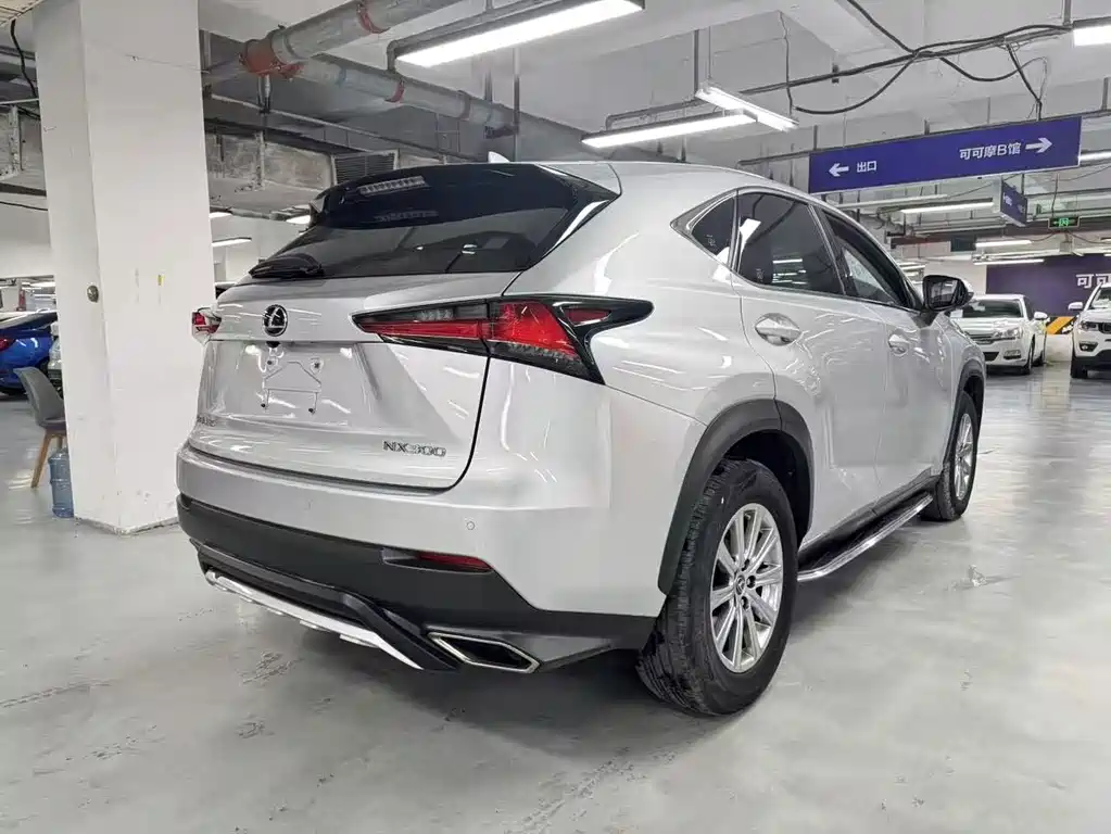 Lexus NX — фото 18