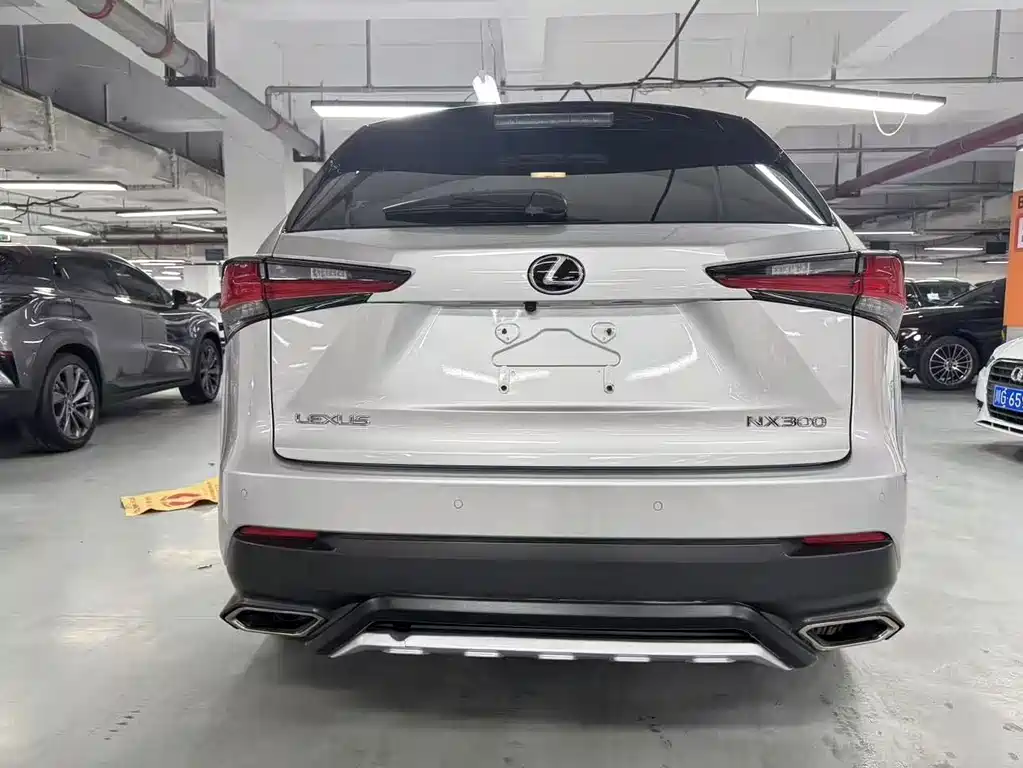 Lexus NX — фото 19