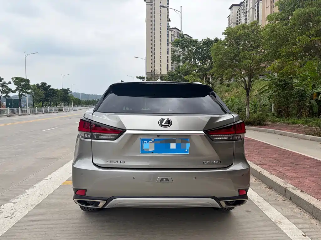 Lexus RX — фото 11