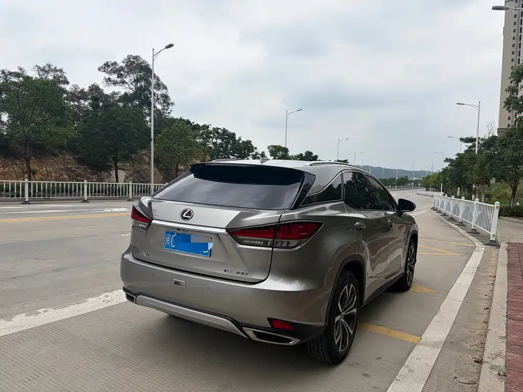 Lexus RX — фото 13