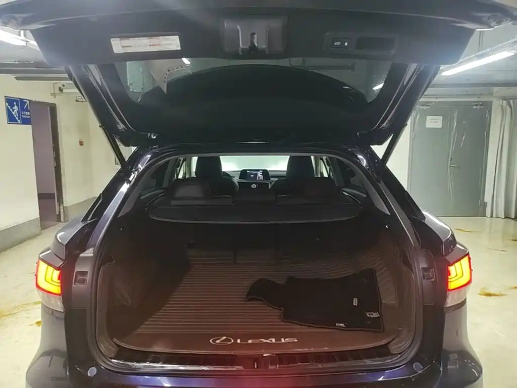 Lexus RX — фото 19