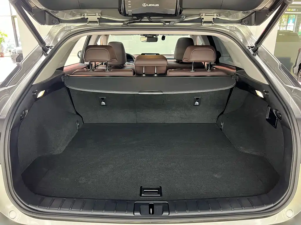 Lexus RX — фото 28