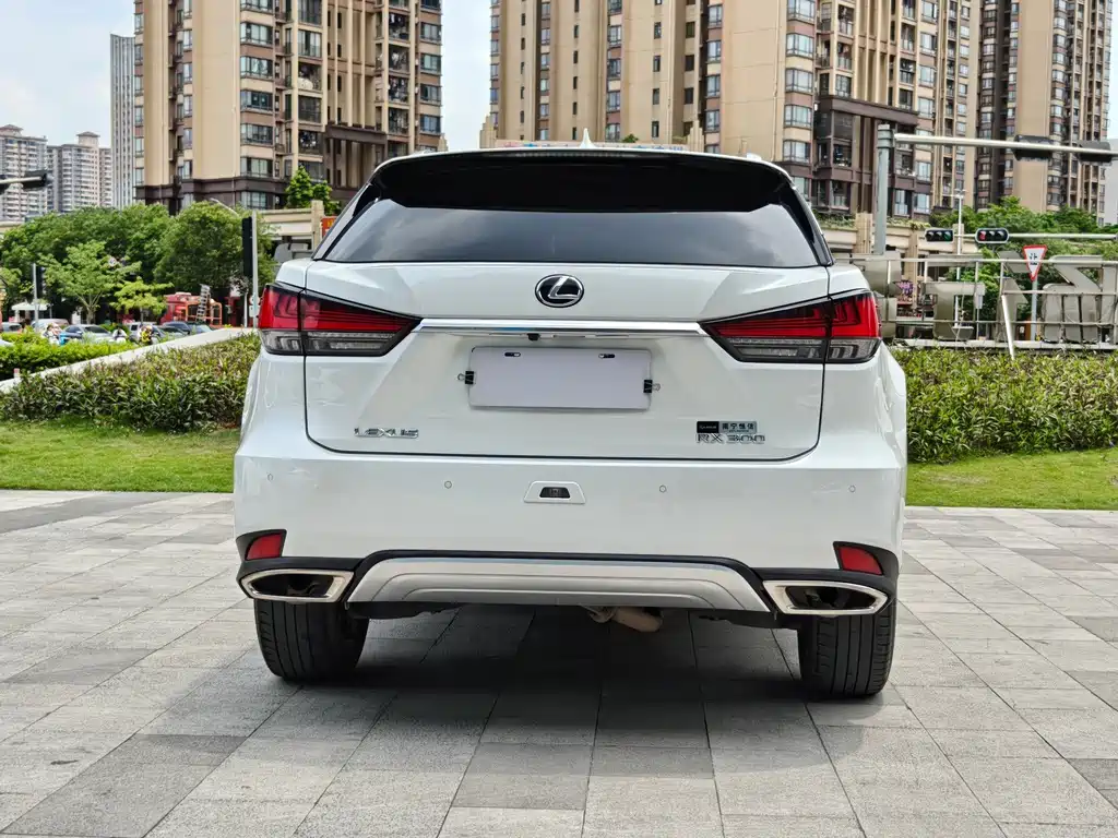Lexus RX — фото 5