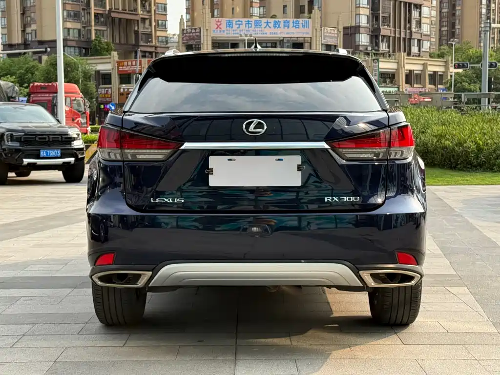 Lexus RX — фото 6