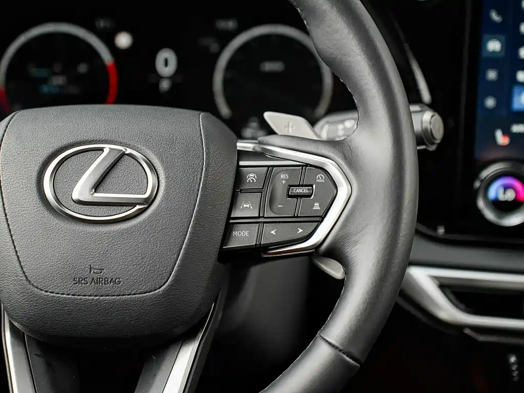 Lexus RX — фото 20