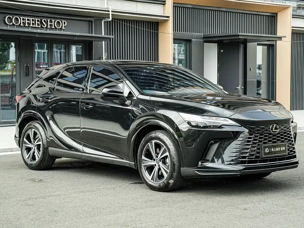 Lexus RX — фото 3