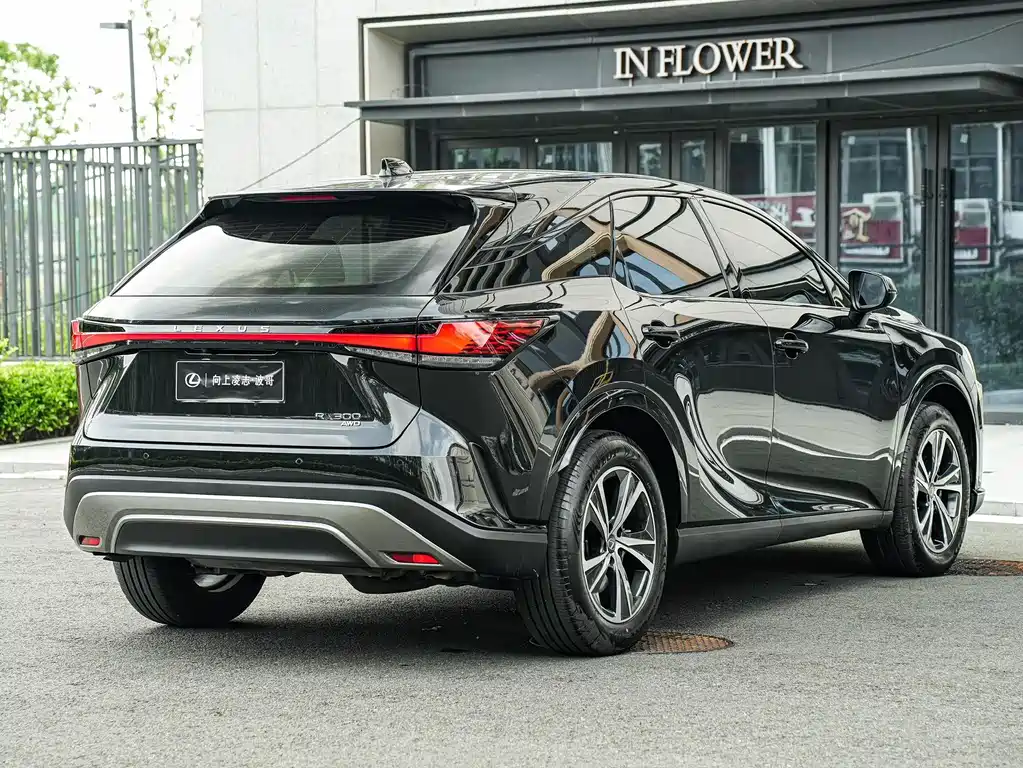 Lexus RX — фото 4