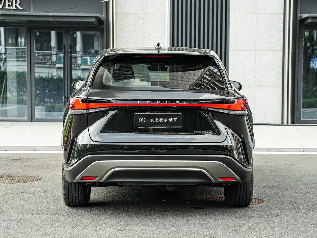 Lexus RX — фото 5